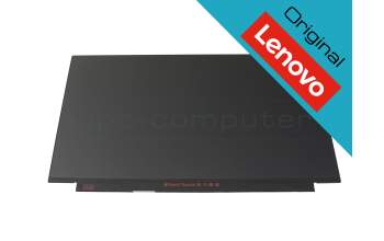 5D11C18141 Lenovo Original IPS Display 1920x1080 matt 60Hz