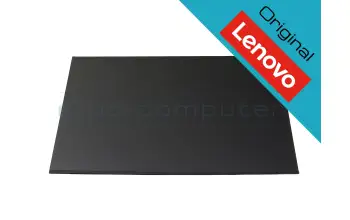 5D11J74772 Lenovo Original IPS Display 1920x1200 matt 60Hz