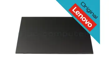 5D11H71477 Lenovo Original IPS Display 2560x1600 matt 60Hz