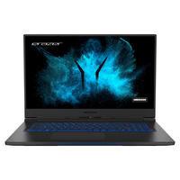 Medion Erazer Beast X10 (GM7MQ8P) Ersatzteile