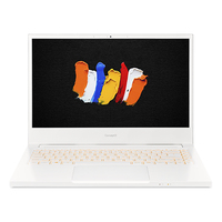 Acer ConceptD 3 (CN314-72G) Ersatzteile