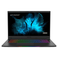 Medion Erazer Beast X20 (GM7TG7P) Ersatzteile