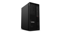 Lenovo ThinkStation P350 Workstation (30E3) Ersatzteile