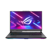 Asus ROG Strix G17 G713PV Ersatzteile