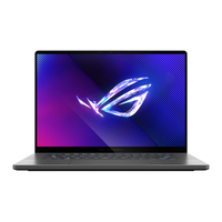 Asus ROG Zephyrus G16 GU605MI Ersatzteile