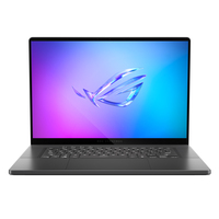 Asus ROG Zephyrus G16 GA605WV Ersatzteile