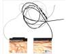 Acer Antennenkabel für Acer TravelMate P2 (TMP215-55T)