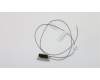 Lenovo CABLE Fru, 780mm M.2 front antenna für Lenovo S200 (10HQ/10HR)