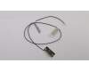 Lenovo CABLE Fru, H5060 500 M.2 Rear antenna für Lenovo S200 (10HQ/10HR)