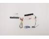Lenovo ANTENNA FRU ANTENNA WLAN+WWAN AntennaASM für Lenovo ThinkPad L14 Gen 2 (20X1/20X2)