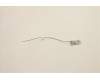 Lenovo ANTENNA Fru,13L FR 180mm ANT_LUX für Lenovo ThinkCentre neo 50t Gen 6 (13BB)