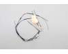 Lenovo ANTENNA FRU ACCY KITS PPS ICT WWAN T14G2 für Lenovo ThinkPad T14 Gen 2 (20XK/20XL)