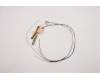 Lenovo ANTENNA ACCY KITS ANTENNA WLAN+WWAN für Lenovo ThinkPad T15g Gen 2 (20YS/20YT)