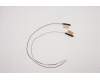 Lenovo ANTENNA ACCY KITS ANTENNA WLAN AL für Lenovo ThinkPad T14s Gen 2 (20WM/20WN)