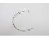 Lenovo ANTENNA FRU Serval ACCY KITS ANT WLAN für Lenovo ThinkPad X13 Gen 2 (20WK/20WL)
