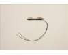 Lenovo ANTENNA FRU ANTENNA Mercury 3.0 AMD für Lenovo ThinkPad E14 Gen 4 (21EB/21EC)