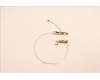 Lenovo ANTENNA ACCY KITS ANT WW AWAN JP610 für Lenovo ThinkPad P16 Gen 1 (21D6/21D7)