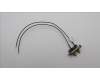 Lenovo ANTENNA Fru 2_in_1 SMA cable_LUX für Lenovo ThinkCentre M90q Tiny (12TH)