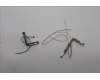 Lenovo ANTENNA KIT,Antenna,WWAN,AWAN für Lenovo ThinkPad X1 Gen 12 (21KC/21KD)