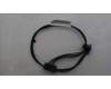 Lenovo CABLE Fru,SATA PWRc(300mm+80mm)_TCO8.0 für Lenovo ThinkStation P3 Tower Gen 2 (30HS/30HT/30J0/30HX)