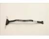 Lenovo CABLE Fru LPT Cble 300mm w_ ESD_ HP_TCO8 für Lenovo ThinkCentre neo 50t Gen 6 (13BB)