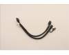 Lenovo CABLE Fru 250mm P520 refresh cable_TCO8 für Lenovo Thinkstation P620 (30E0)