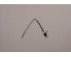 Lenovo CABLE FRU BL_Cable_LG_SSM1 für Lenovo ThinkCentre M90a Gen 3 (11VH)