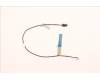 Lenovo CABLE M/B-MIC Cable für Lenovo Neo 50a 24 Gen 4 (12K8)