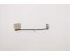 5C10Z23857 Lenovo FRU Displaykabel f&uuml;r T15 FHD Displayeinheit Touch WWAN