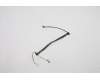 Lenovo CABLE FR RG CAMERA Cable ASM für Lenovo ThinkPad T14 Gen 2 (20XK/20XL)
