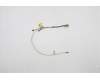 Lenovo CABLE EDP Cable W 81M9 NEW für Lenovo 300e 2nd Gen (81M9)