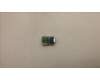 Lenovo CARDPOP BLD Tiny8 BTB VGA card für Lenovo ThinkCentre Neo 50q QC (13C8)