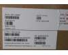 Lenovo MECH_ASM KBDW C EURO ENG BKLTLTN WW USGY für Lenovo ThinkPad X13 Yoga Gen 4 (21F2/21F3)