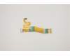 5C10S30339 Lenovo CABLE EDP Cable H 82QS