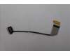 Lenovo CABLE FRU M/B TOUCH EDP CABLE für Lenovo ThinkPad T16 Gen 3 (21MN/21MQ)