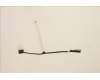 Lenovo CABLE FRU CABLE CABLE, eDP cable, Golem für Lenovo ThinkPad L14 Gen 3 (21C5/21C6)