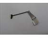 Lenovo CABLE FRU CABLE EDP LP CABLE für Lenovo ThinkPad T14s Gen 5 (21LS/21LT)