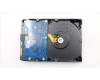 Lenovo HDD_ASM HDD,2TB,7200,DT3,SATA3,STD für Lenovo V55t-15ARE (11KG/11KF/11KH/11KJ)