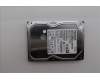 Lenovo HDD TSB MARS3.5 1TB 7200 HIPM ON für Lenovo LOQ Tower 17IRR9 (90WY/90X0)