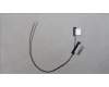 Lenovo ANTENNA ANTENNA W 21KK M+A für Lenovo ThinkBook 16 G6 IRL (21KH/21NR)