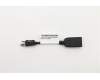 Lenovo CABLE FRU MDP To DP Dongle für Lenovo ThinkStation P3 Tower Gen 2 (30HS/30HT/30J0/30HX)