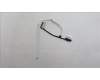 Lenovo CABLE EDP cable W 21KK WQX IR für Lenovo ThinkBook 16 G6 IRL (21KH/21NR)