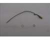 Lenovo ANTENNA Fru,148mm RF cable_LUX für Lenovo ThinkCentre M70q Gen 5 (13E2)
