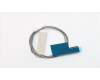 Lenovo ANTENNA Fru, Lx 8L Think Front ANT_450mm für Lenovo ThinkCentre M710q (10MS/10MR/10MQ)