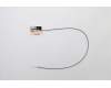 Lenovo ANTENNA Fru, Fan-less Nano WLAN AUX ANT für Lenovo ThinkCentre M75n (11BX)