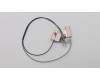Lenovo ANTENNA FRU WLAN Antenna Kit für Lenovo ThinkPad E480 (20KQ/20KN)