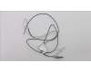 Lenovo FRU Antenna WLAN 15W MS(WNC) für Lenovo ThinkPad Edge E330 (3354)