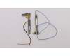 Lenovo ANTENNA KIT ANTENNA,WWAN,Amphenol für Lenovo ThinkPad X1 Carbon 8th Gen (20UA/20U9)