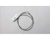 Lenovo ANTENNA Fru,FR INT ANT_LUX für Lenovo ThinkStation PX (30EY)