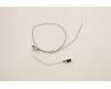 Lenovo ANTENNA FRU,7.4L WIFI6E 720/140 ANT für Lenovo ThinkCentre Neo 50s Gen 4 (13F4)